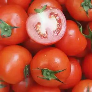 달다팜 국내산 완숙 토마토 2kg (대과 1번과)/제철 고당도 찰토마토 요리 주스