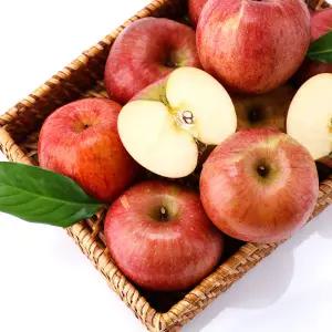 고당도 홍로,료가, 시나노스위트 혼합 사과 가정용 2kg