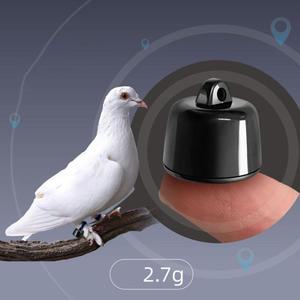 반려동물 비둘기용 강아지 장치 실시간 분실 기능이 있는 추적 GPS 미니 고양이용 방지 추적기 지오펜싱 위치 방수