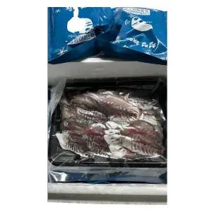 전갱이회 - 중짜 1kg/ 5미 완성회 (진공숙성회)