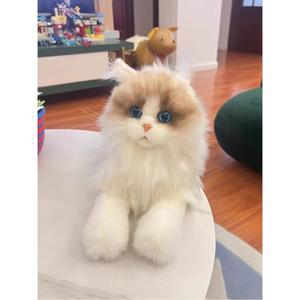 렉돌 같은 고양이인형 의 촬영 소품 고퀄리티 피규어 봉제 선물