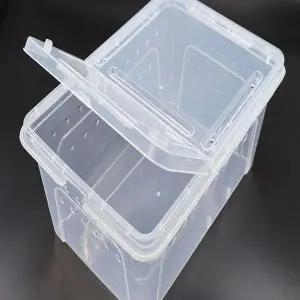 [콩심팥심]파충류 곤충 도마뱀 게코 사육장 케이스 대형