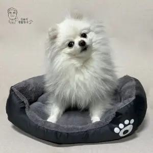 고품질 강아지 사각 방석 고양이 쿠션 극세사 애견 반려견 애견용품 (WE35E0B)