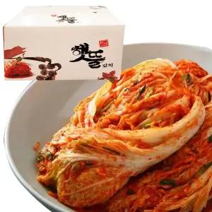 햇뜰김치 배추김치 10kg 수입 포기김치 업소 식자재