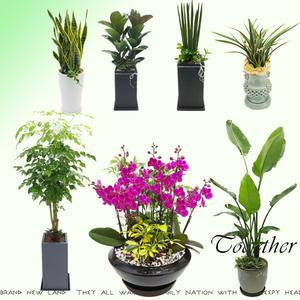 인천 부천화환 개업화분