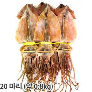 건오징어 20마리(약0.8kg) 무료배송 오징어 마른오징어 동해안發 쪽빛누리