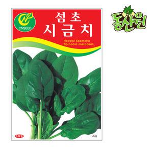 섬초시금치씨앗 20g  동초시금치종자 가을채소씨앗 텃밭채소