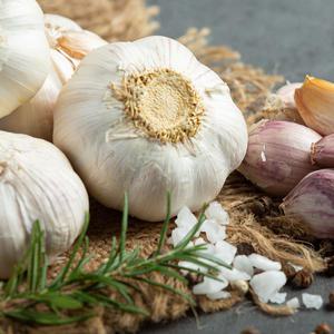 2025년 해남 햇마늘 벌마늘