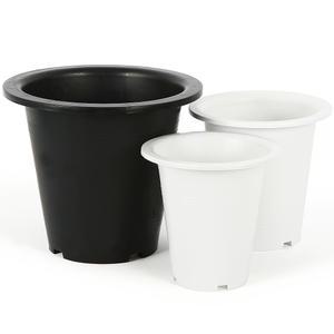 현애분 플라스틱 원형 화분 분갈이