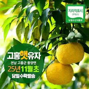 2025년 고흥 유자 생과 5kg,10kg