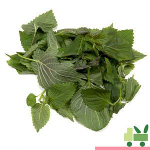 깨순 (어린깻잎 깻순) 2kg