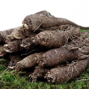 향긋! 갓수확한 국산 후금이네 참 더덕 (특대) 8-12뿌리내외 1kg