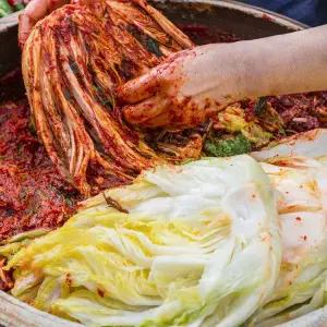 [하늘명인]해남 땅끝 아삭 절임배추20kg+양념8kg /HACCP인증