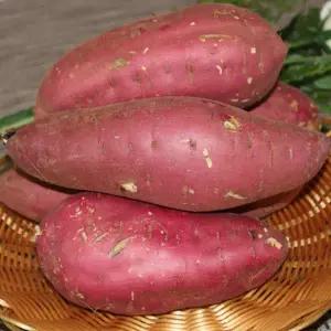 호박고구마(튀김용) 10kg 1박스 자연대로팜웨이