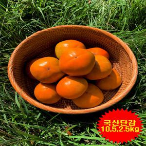 감 단감 구례단감 부유 2.5KG 5KG
