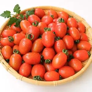 국내산 탱글탱글 대추방울토마토 2kg 4번과(소과)