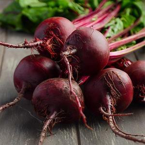 [자연맛남]제주직송 레드비트 5kg (특품)