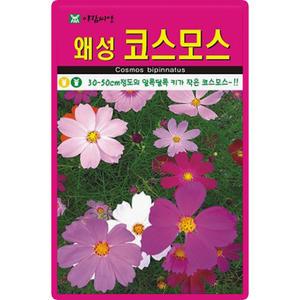 아람종묘 왜성코스모스 씨앗 200립 키작은 코스모스 꽃씨 야생화 종자