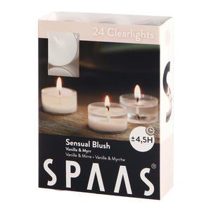 클리어라이트 향초 24개 투명컵 티라이트 SPAAS
