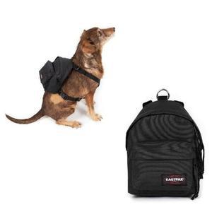 [갤러리아] [이스트팩] 강아지 산책가방 도그파커 블랙 (ENABX03 8_)