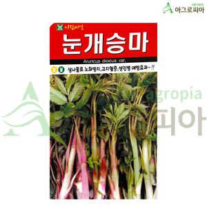 눈개승마 산마늘 어수리 곰취 참나물 곤드레 곤달비 고들빼기 부지깽이 취나물 나물 씨앗 씨 종자