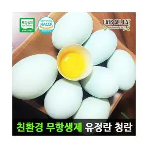 이츠올잇 무항생제 자연방사 청계 유정란 30구 난각1번 동물복지 청란 청계란 초란 계란 달걀