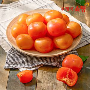 [우체국쇼핑] 씨없는 청도반시 홍시 5kg