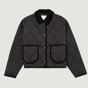 [행텐]10490-110-813-69-100여성 웰론 코듀로이 칼라 퀼팅 점퍼_DJ