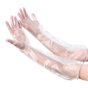 일회용 비닐 긴장갑 60cm 김장용 롱장갑 글러브 10매