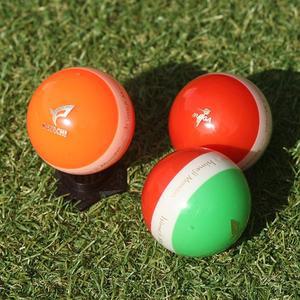 히메지몬자 X 하타치 트리플라인 고반발 파크골프공 E4I101