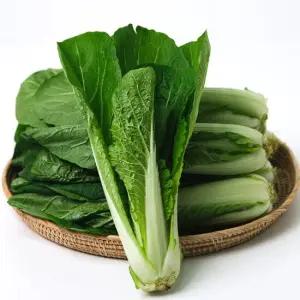 싱싱한 국내산 얼갈이 배추 2kg내외