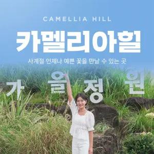 [제주] 카멜리아힐