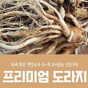 도라지청 도라지 고씨네 약도라지1kg 생도라지 야산재배도라지 도라지정과 도라지배즙