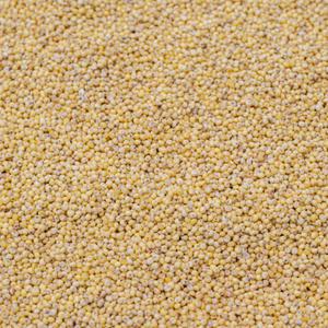 국산 찰기장 1kg 기장쌀 (500g+500g)