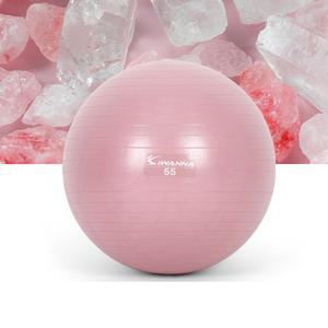 아이워너 안티버스트 짐볼 55cm 와일드핑크 요가 홈트 테스 산후