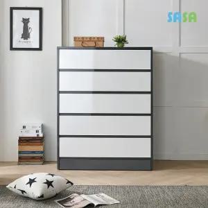 비스 하이그로시 900 칸칸이 5단서랍장