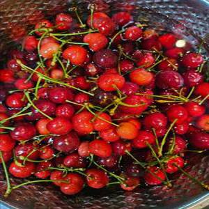 국내산 프리미엄 생 체리 경주체리 (실속형 2kg 소중)