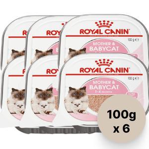 로얄캐닌 마더 앤 베이비캣 캔 아기 고양이 습식 사료 주식캔