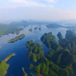 대마도2일#부산출발#4인출확 연합#씨플라워호#부산에서 가장가까운 일본 대마도 1박2일#이즈하라 숙박#이즈하라#히타카츠