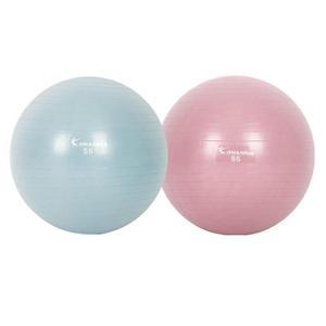 [SW27AX4]홈트 안티버스트 짐볼 운동 55cm 1P