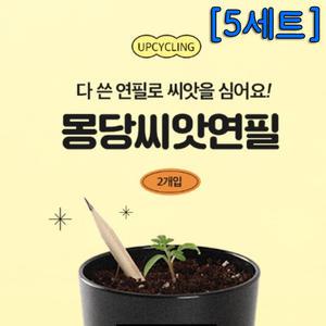 몽당 씨앗연필 (2개입) - 5세트/씨앗키우기,열매키우기