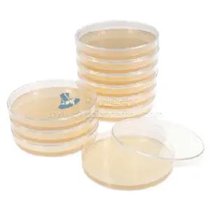 일반세균 표준한천배지(10개입)