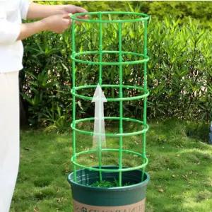 튼튼 원형 식물지지대 화분식물 화초 농작물 울타리 화초지지대
