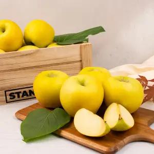 픽댓 고당도 꿀 황금사과 햇사과 시나노골드 실속형 5kg 중대과(12-16과)