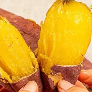 해남 꿀고구마 베니하루카 햇 호박 고구마 3kg 5kg 10kg