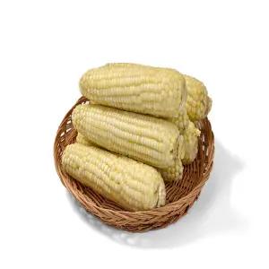 승표네 국내산 산지직송 백 찰 옥수수 특대 사이즈 간식 찐옥수수 군옥수수 간식