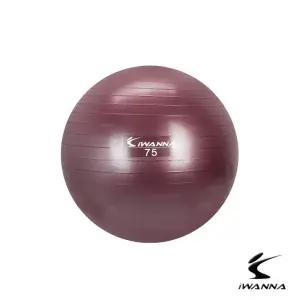 안티 버스트 짐볼 75cm 루비 와인