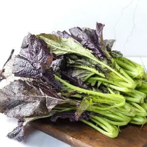 여수에서 온 돌산 생갓 5kg & 10kg