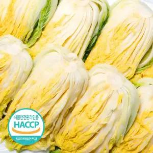 [예약판매] 해썹인증 전남 해남 절임배추 20kg 7-11포기 김장 WD