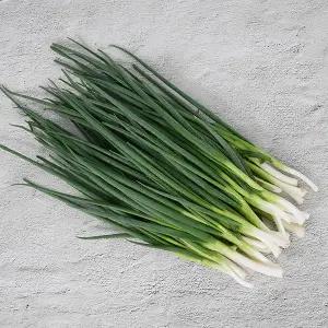 전라도 손질쪽파 1kg